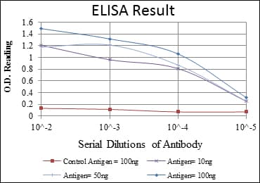 CRKL Antibody (clone 5E+12)