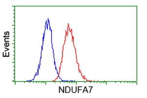 NDUFA7 Antibody (clone OTI2G4, Carrier-free)