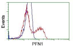 PFN1 / Profilin 1 Antibody (clone OTI2D2, Carrier-free)