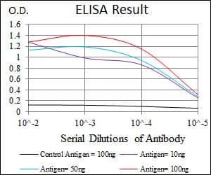 HAS3 Antibody (aa312-364, clone 3C9)