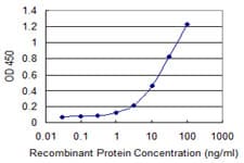 Monoclonal Mouse anti-Human CD3EAP Antibody (clone 6A6, IHC, WB)