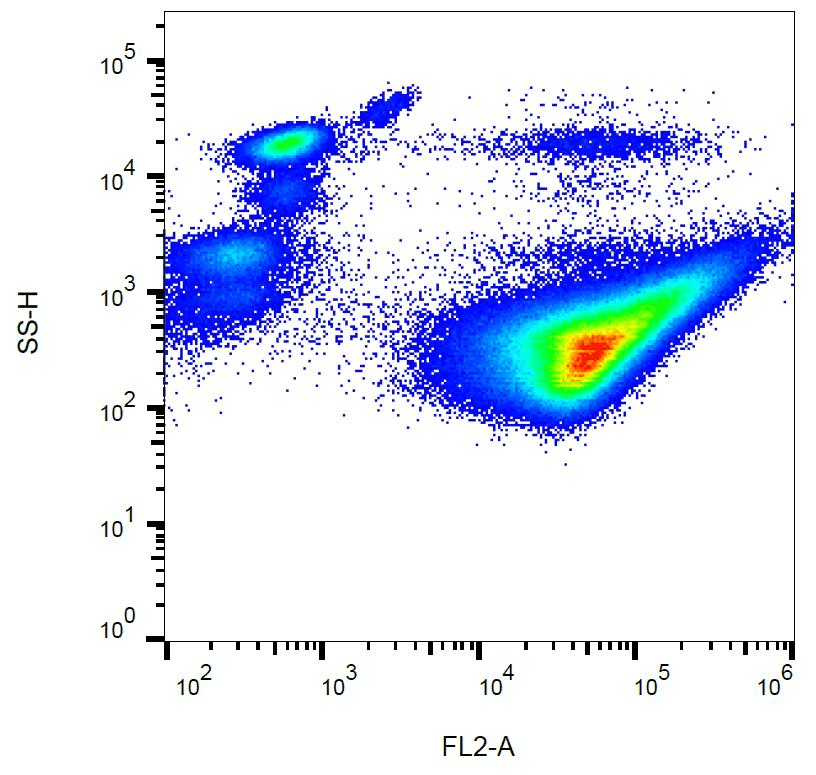 Monoclonal Mouse anti-Human GP1BA / CD42b Antibody (clone AK2, PE, WB)