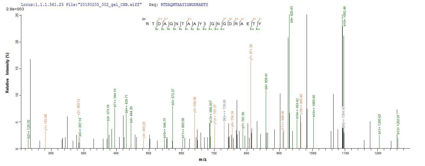 E. coli Outer Membrane Protein C (Recombinant)