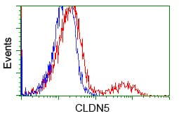 CLDN5 / Claudin 5 Antibody (clone OTI1G4)