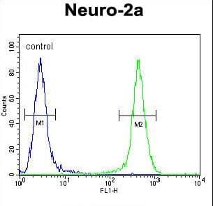 JOSD2 Antibody (aa33-61)
