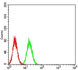 TRIM25 Antibody (clone 5B5B10)
