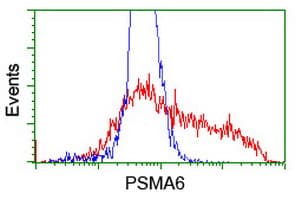 PSMA6 Antibody (clone OTI4C9, Carrier-free)