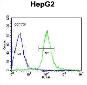 MGST2 Antibody (aa117-147)