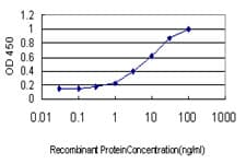 AXL Antibody (clone 6C8)