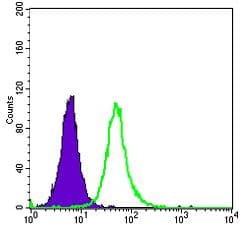 OTX2 Antibody (clone 1H12C4B5)