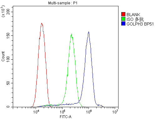 Polyclonal Rabbit anti-Human GOLPH3 Antibody (IHC, WB)