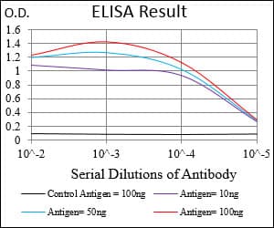 GABBR2 / GABA B Receptor 2 Antibody (aa319-483, clone 5G7F7)