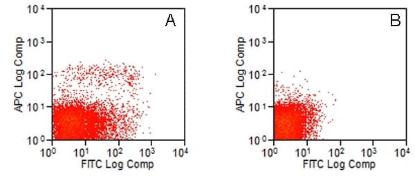 Monoclonal Rat anti-Mouse TLR3 Antibody (clone 11F8, FITC, IF)