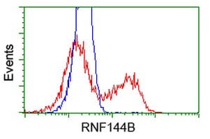 RNF144B Antibody (clone OTI11F4)