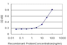 DEC-205 / CD205 / LY75 Antibody (clone 3G4)