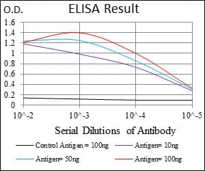 CFLAR / FLIP Antibody (aa100-251, clone 6G11A6)