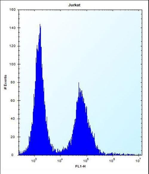 DNAJC9 Antibody (aa29-58)