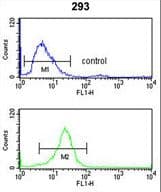 ITGA6/Integrin Alpha 6/CD49f Antibody (aa1082-1110)