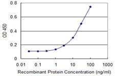 Monoclonal Mouse anti-Human GRM8 / MGLUR8 Antibody (clone 4A7, WB)