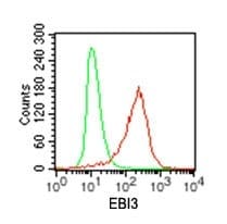 EBI3 / IL-27B Antibody (clone 42N1G4)