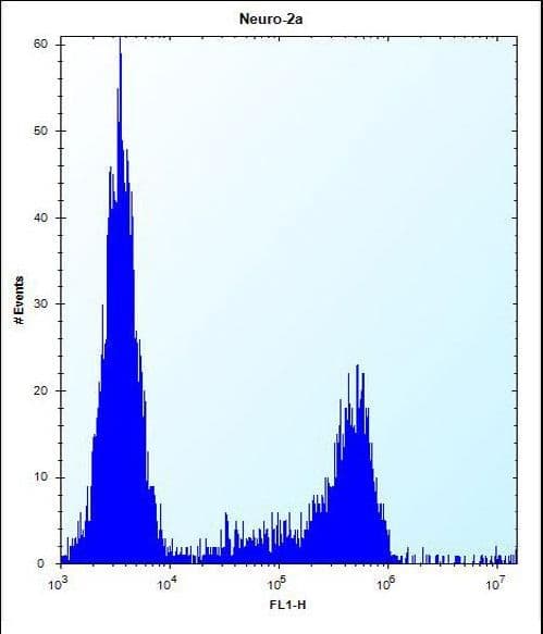 IHC-plus™ CASC4 Antibody (aa336-365)