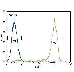 AKT1 Antibody (aa428-457)