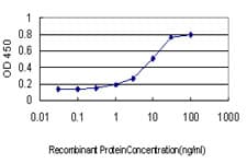 ADAM12 Antibody (clone 1G3)