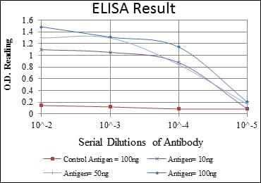 Monoclonal Mouse anti-Human PSIP1 / LEDGF Antibody (clone 6E4, IHC, IF, WB)