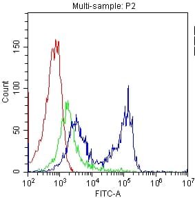 CD7 Antibody