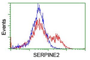SERPINE2 / Nexin Antibody (clone 2C9, Carrier-free)
