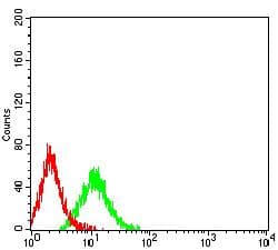 CHRM3 / M3 Antibody (clone 4A6B7)