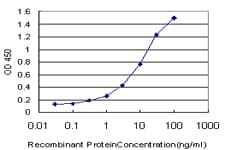 Monoclonal Mouse anti-Human IFI16 Antibody (clone 1B4, IHC, WB)