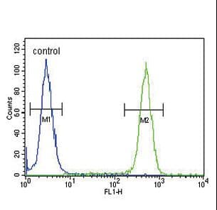 ASMT / HIOMT Antibody (aa212-241)
