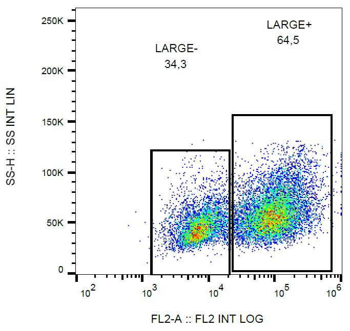 LARGE Antibody (clone LARGE-02, PE)