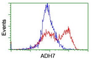 IHC-plus™ ADH7 Antibody (clone 2D11)