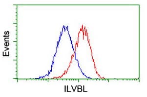 ILVBL Antibody (clone OTI2F1, Carrier-free)