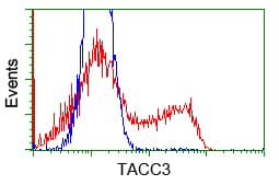 ERIC-1 / TACC3 Antibody (clone OTI6F1, Carrier-free)