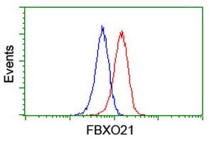 FBXO21 Antibody (clone OTI6C10)