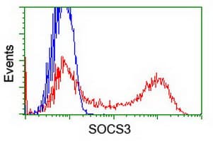 SOCS3 Antibody (clone OTI7E10)