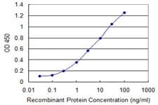 PCDH10 Antibody (clone 2H6)