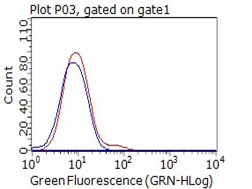 CD80 Antibody (clone OTI5B5)