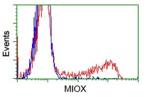 KSP32 / MIOX Antibody (clone OTI1C5)