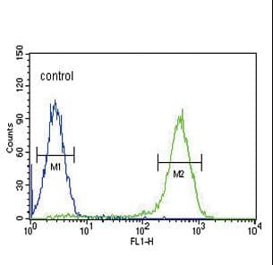 SLC10A1 / NTCP Antibody (aa316-343)