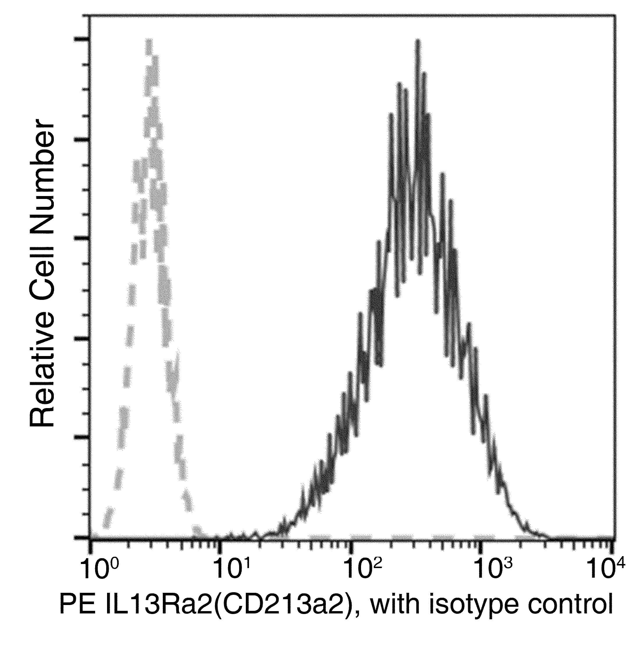 Monoclonal Rabbit anti-Human IL13RA2 / IL13R Alpha 2 Antibody (clone 018, PE)