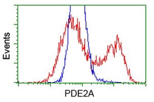 IHC-plus™ PDE2A Antibody (clone 5B10)
