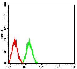 Monoclonal Mouse anti-Human FCRL2 / IRTA4 Antibody (clone 7B12A3, WB)