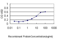 F2 / Prothrombin / Thrombin Antibody (clone 1B7)