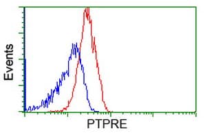 PTPRE / PTP Epsilon Antibody (clone OTI4G2)
