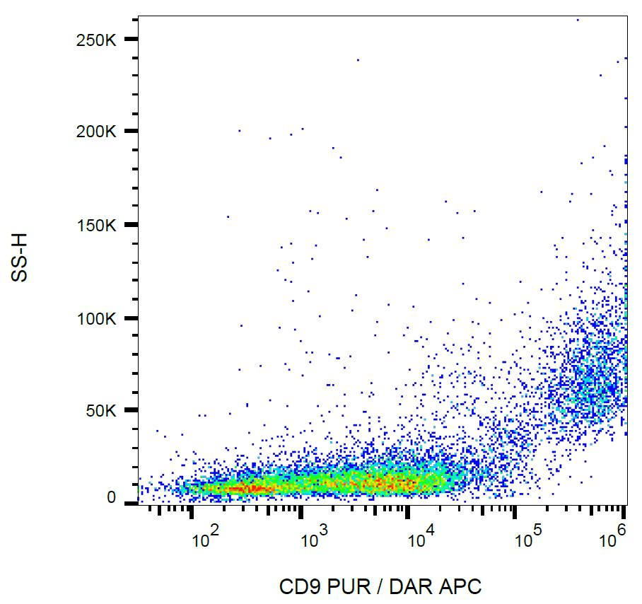 Monoclonal Rat anti-Mouse CD9 Antibody (clone EM-04, WB)
