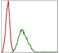 NQO1 Antibody (clone 4D12)